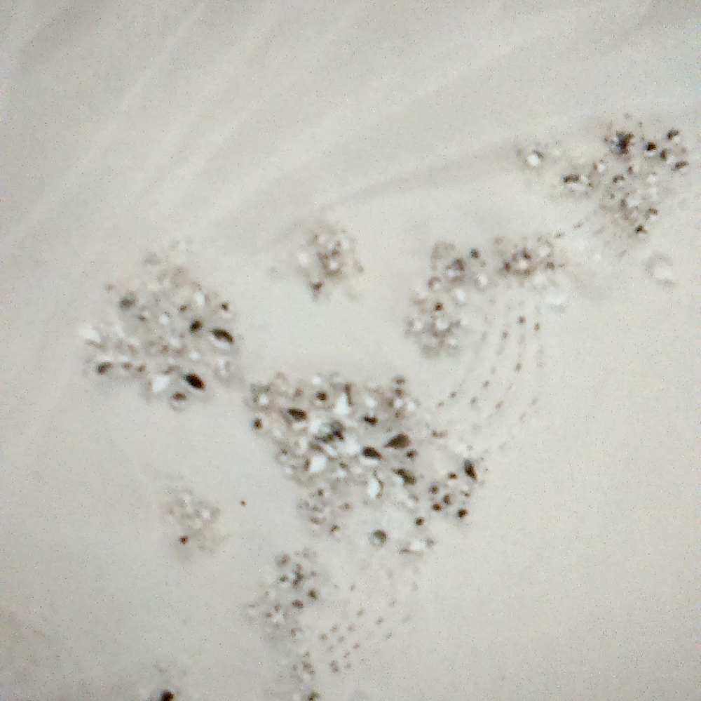 Kenneth Winston Style 1562 - Picture 5 of 7